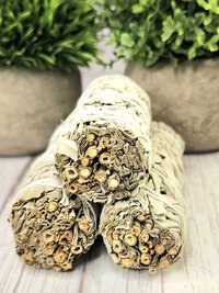 White Sage Bundles