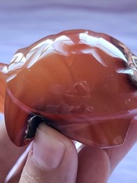 Carnelian Turtle Carving #4