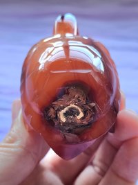 Carnelian Turtle Carving #4