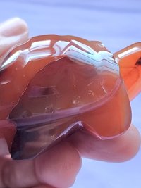 Carnelian Turtle Carving #4