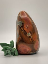 Polychrome Jasper Free Form #2