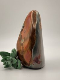 Polychrome Jasper Free Form #2