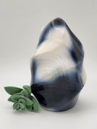 Orca Agate Free Form #3