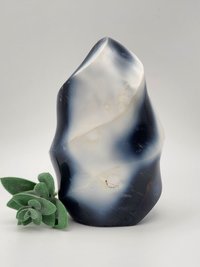 Orca Agate Free Form #3
