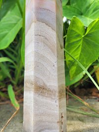 Sea Jasper Tower #1