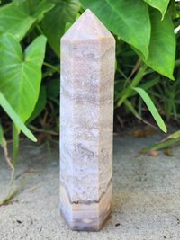 Sea Jasper Tower #5