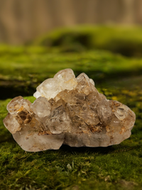 Golden Healer Cluster