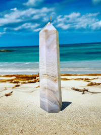 Sea Jasper Tower #3