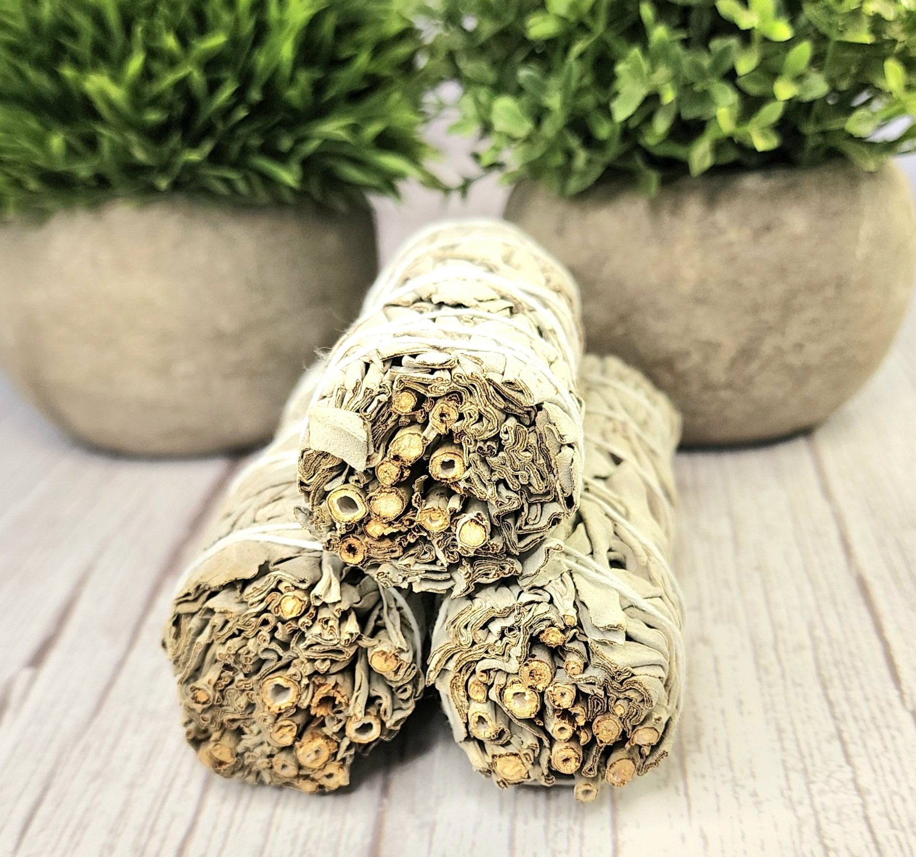 White Sage Bundles