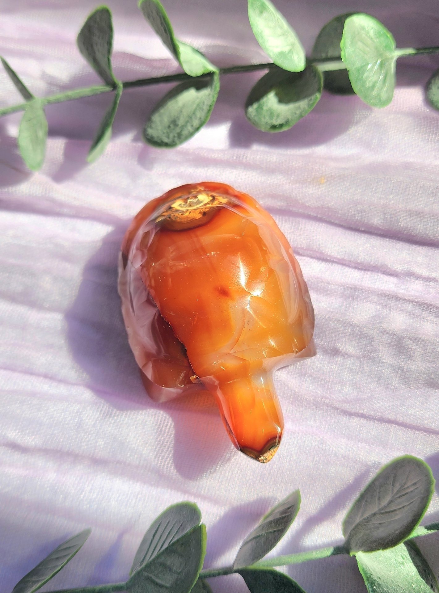 Carnelian Turtle Carving #4