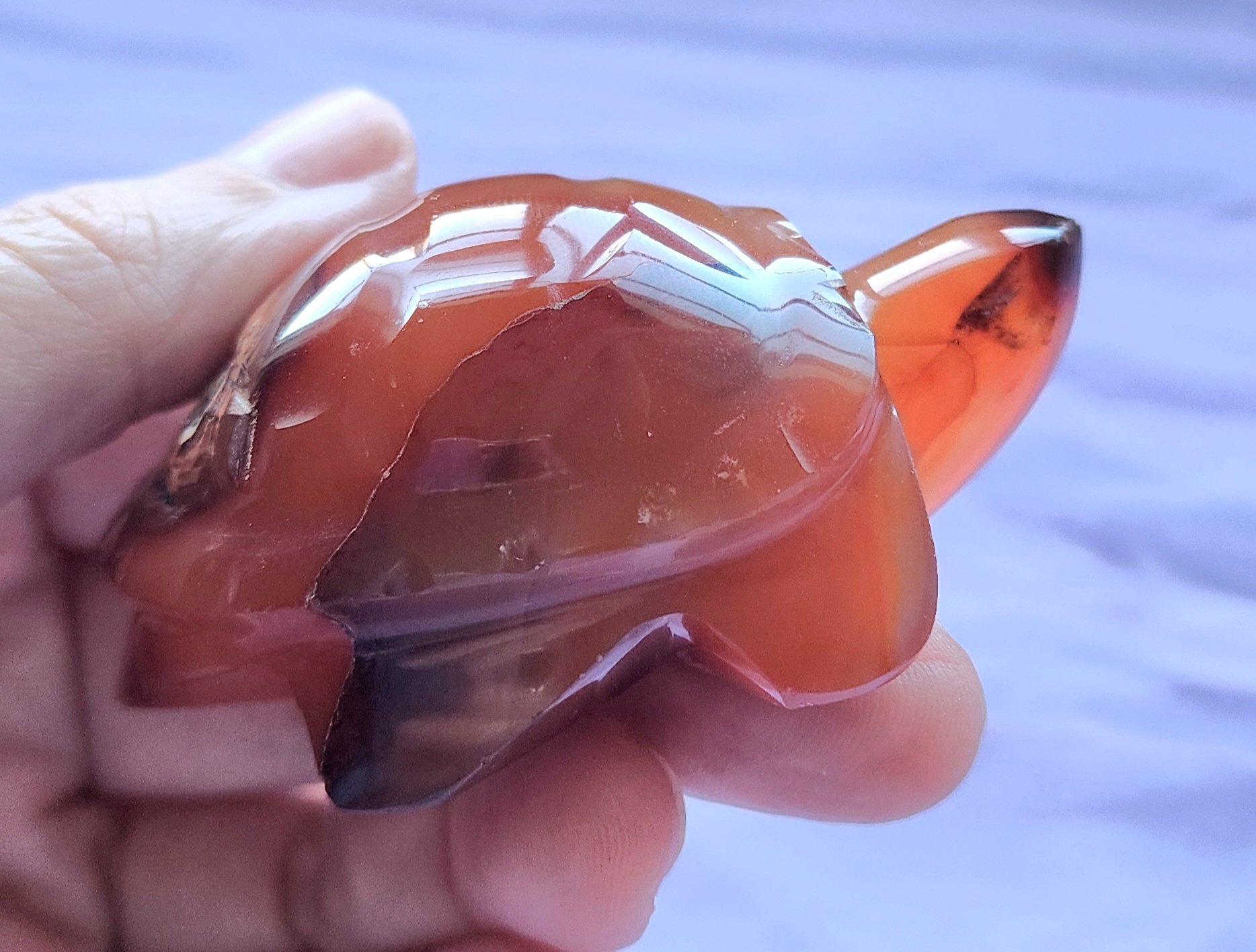 Carnelian Turtle Carving #4