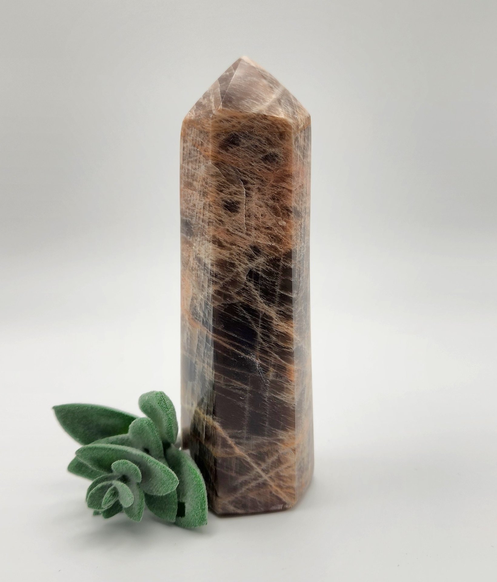 Flashy Black Moonstone Point
