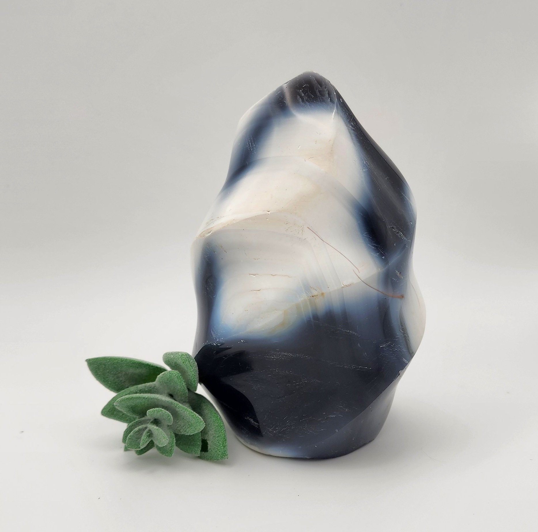 Orca Agate Free Form #3