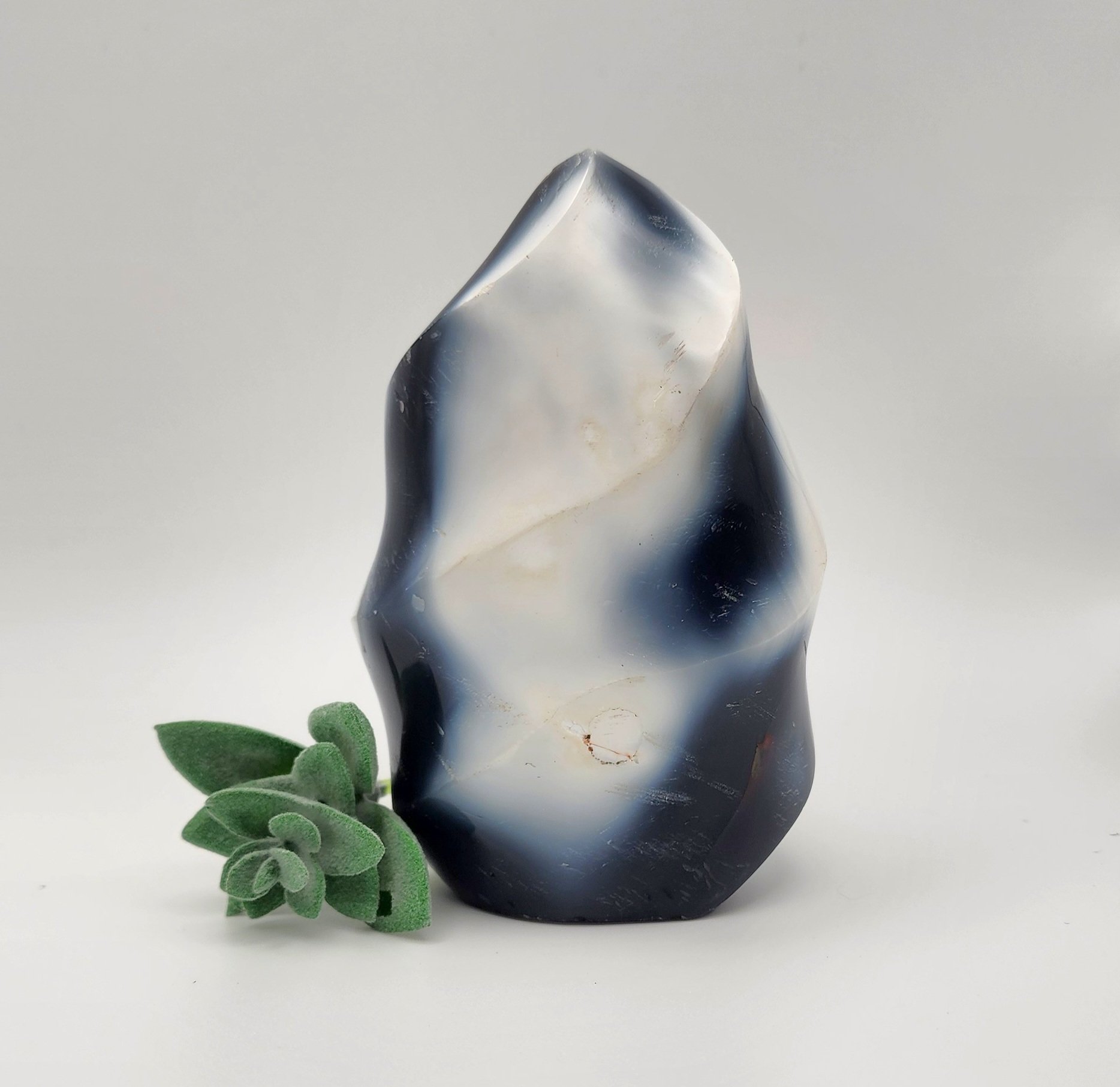 Orca Agate Free Form #3