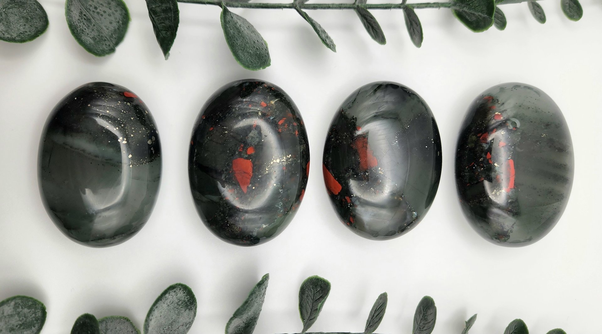 African Bloodstone Palms