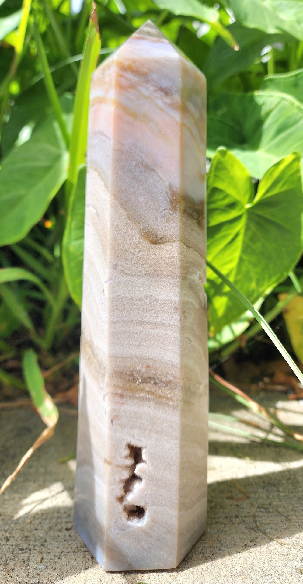 Sea Jasper Tower #1