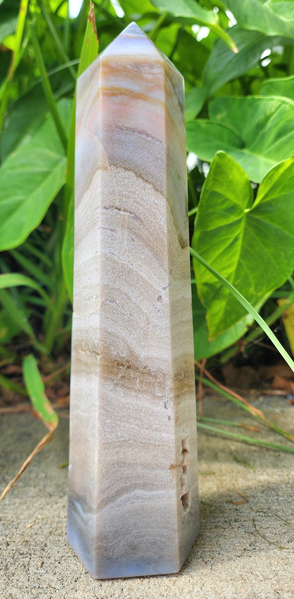 Sea Jasper Tower #1