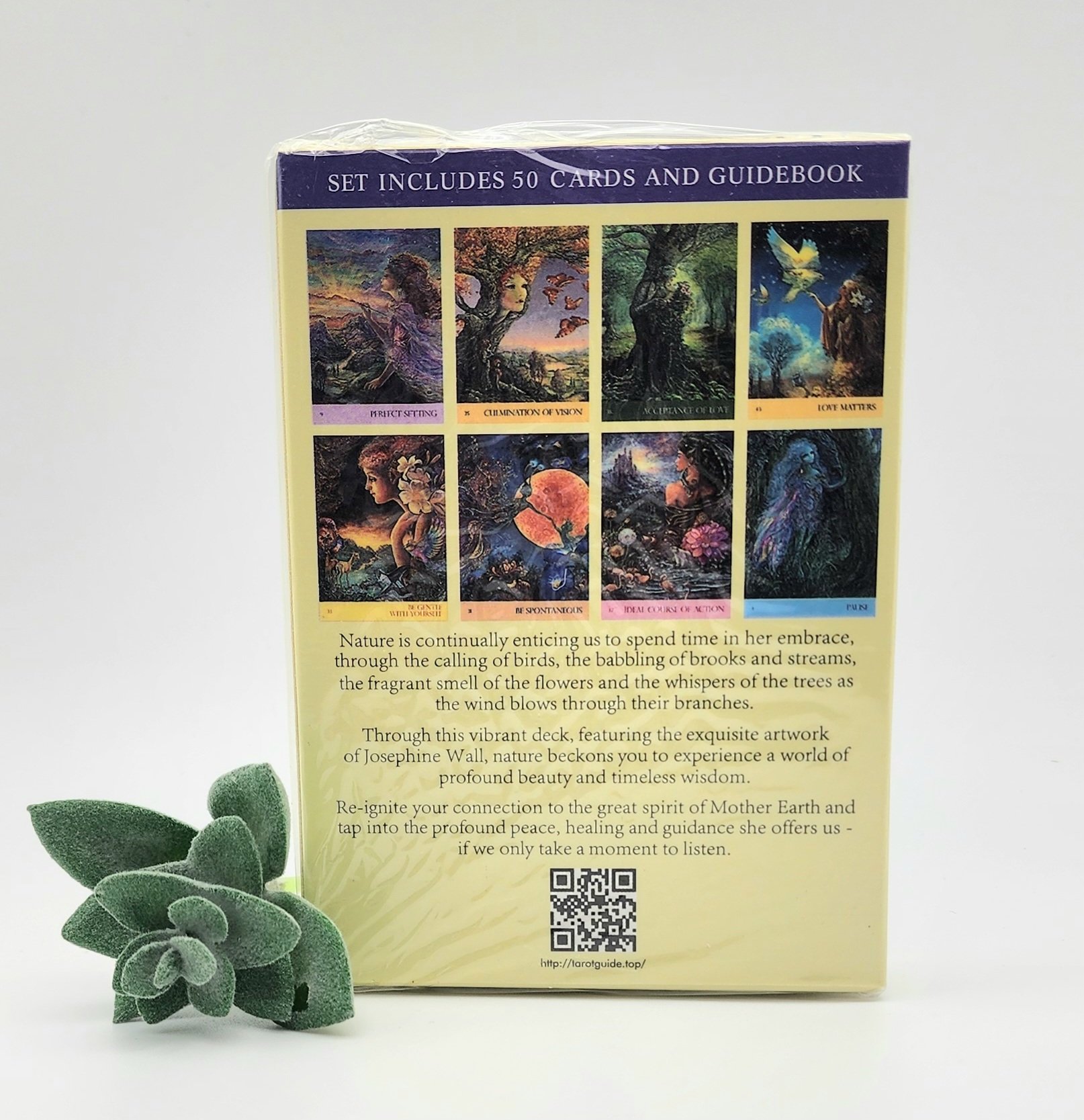 Nature's Whispers Mini Oracle Cards