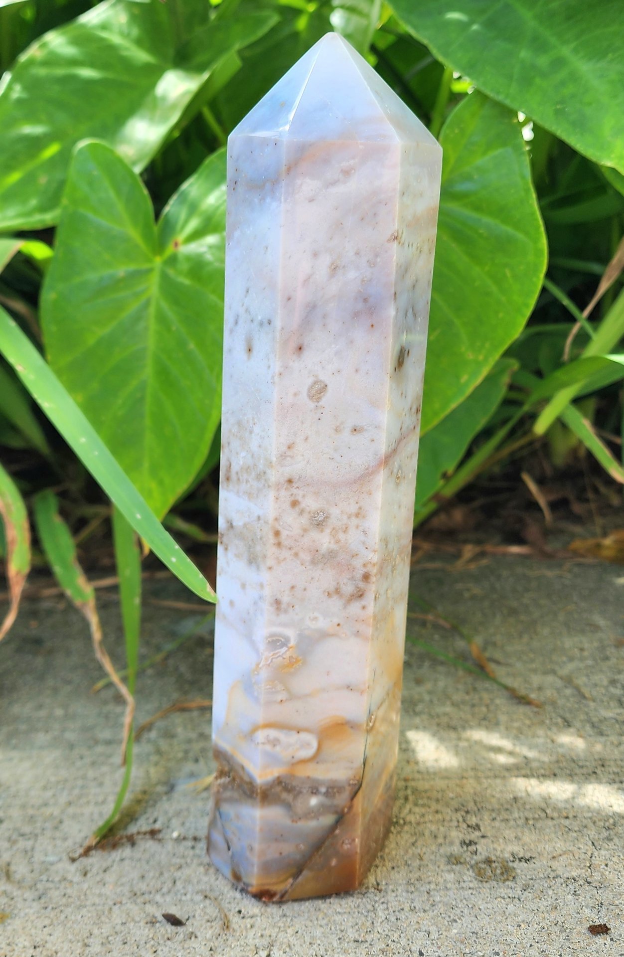 Sea Jasper Tower #6