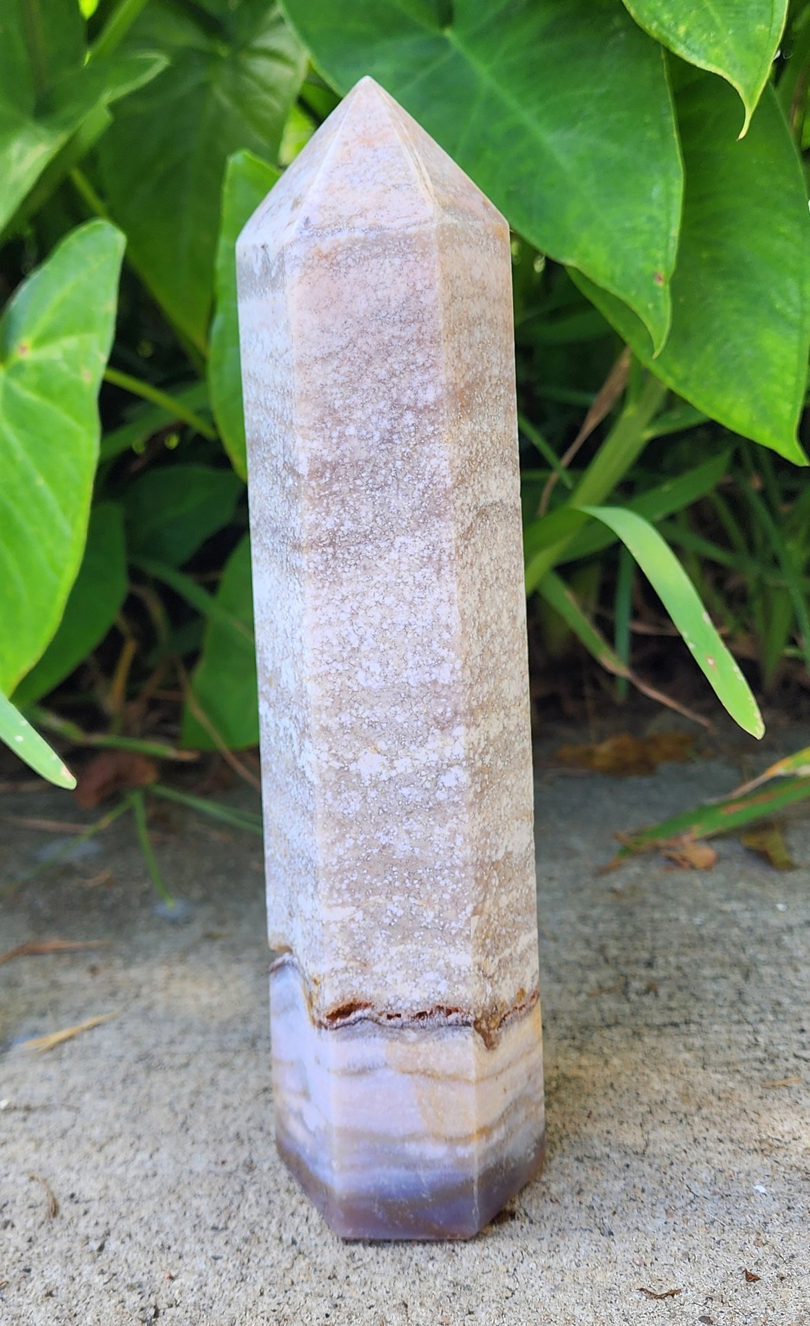 Sea Jasper Tower #5