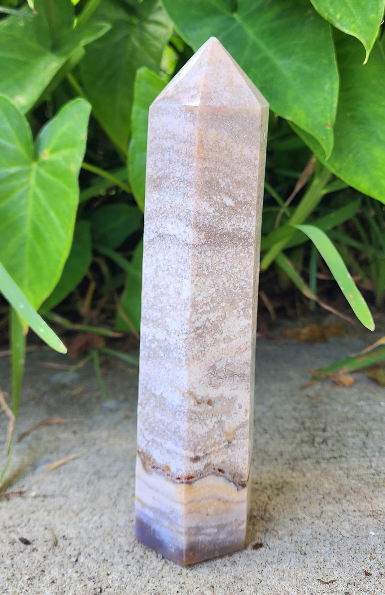 Sea Jasper Tower #5