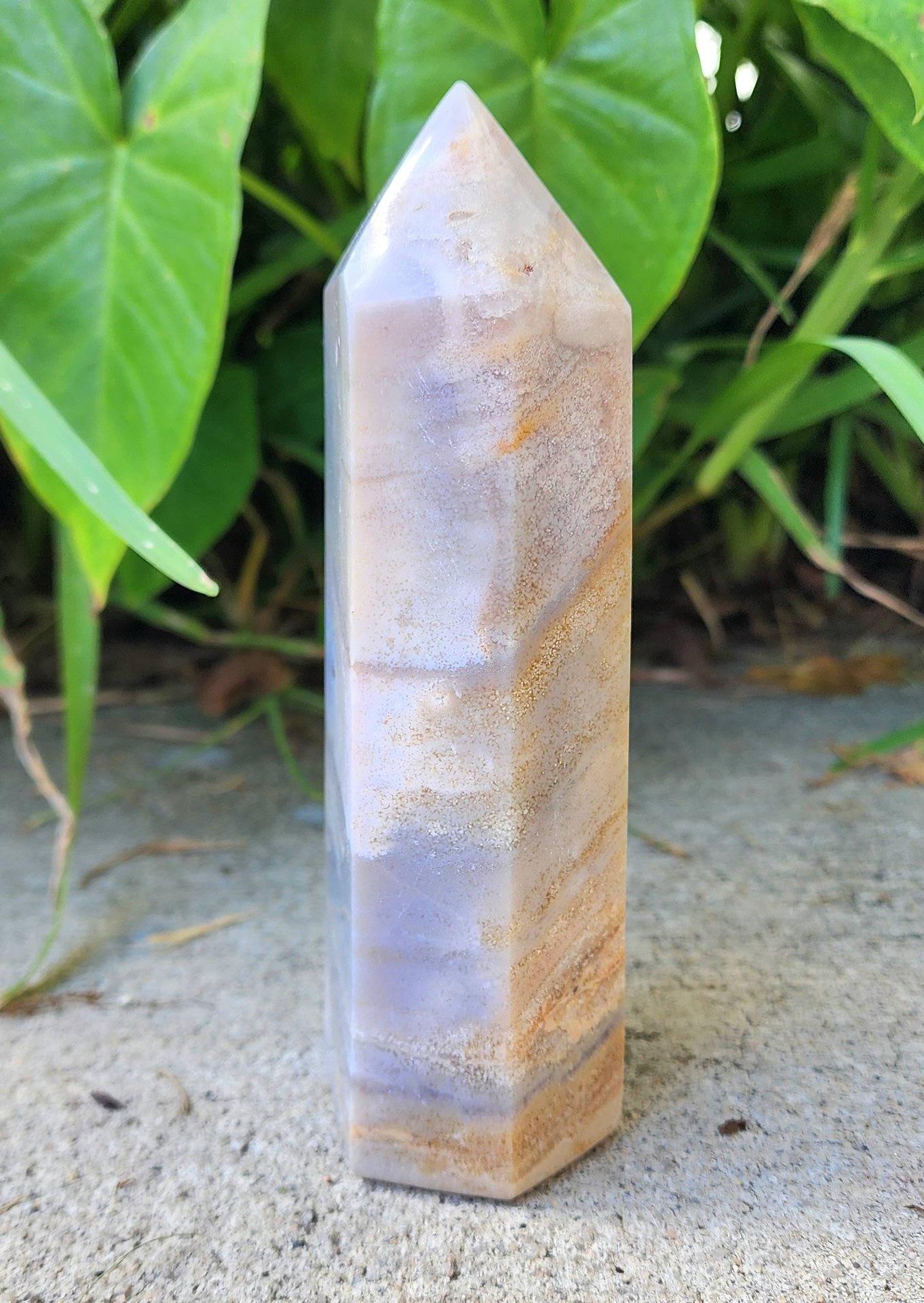 Sea Jasper Tower #9