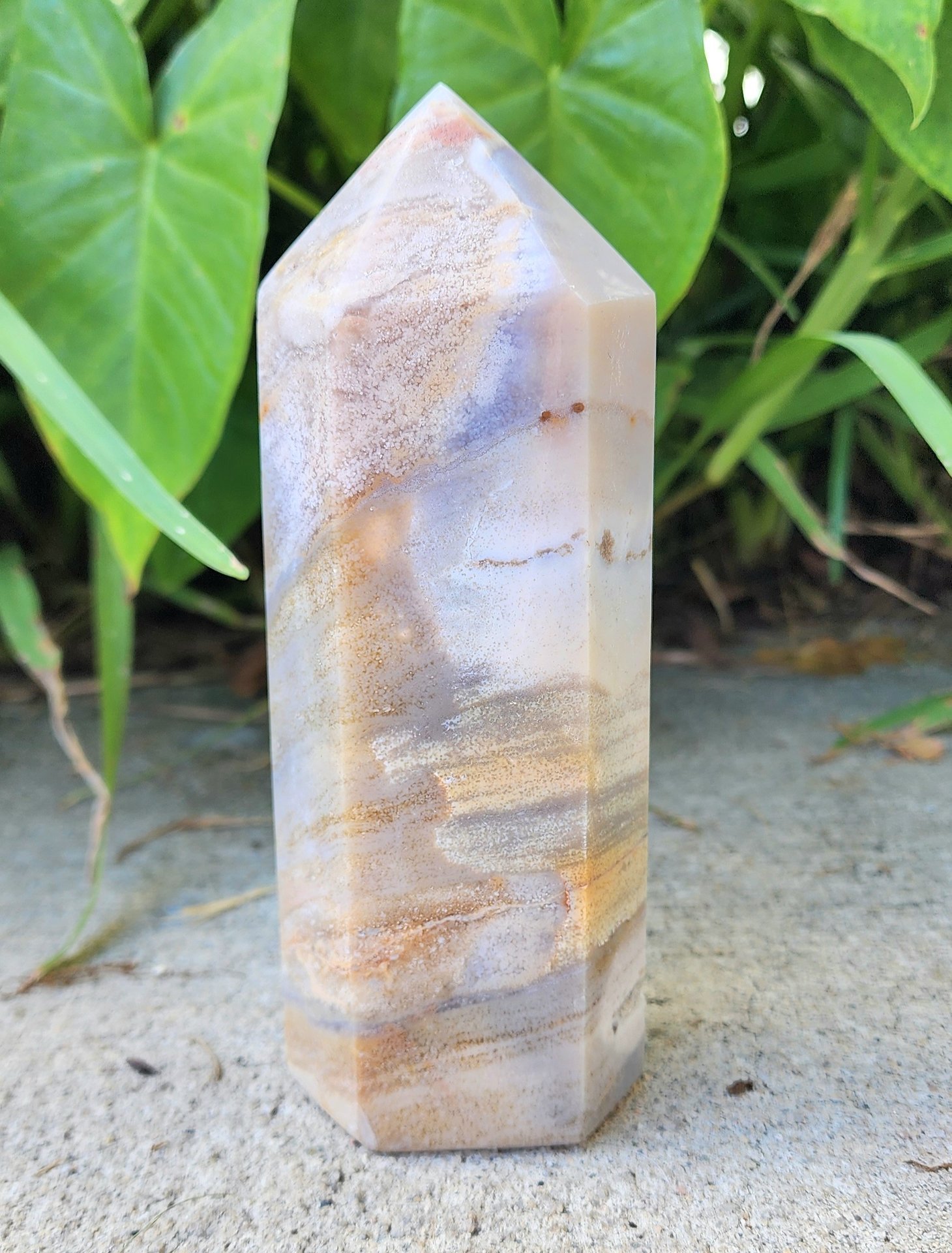 Sea Jasper Tower #9