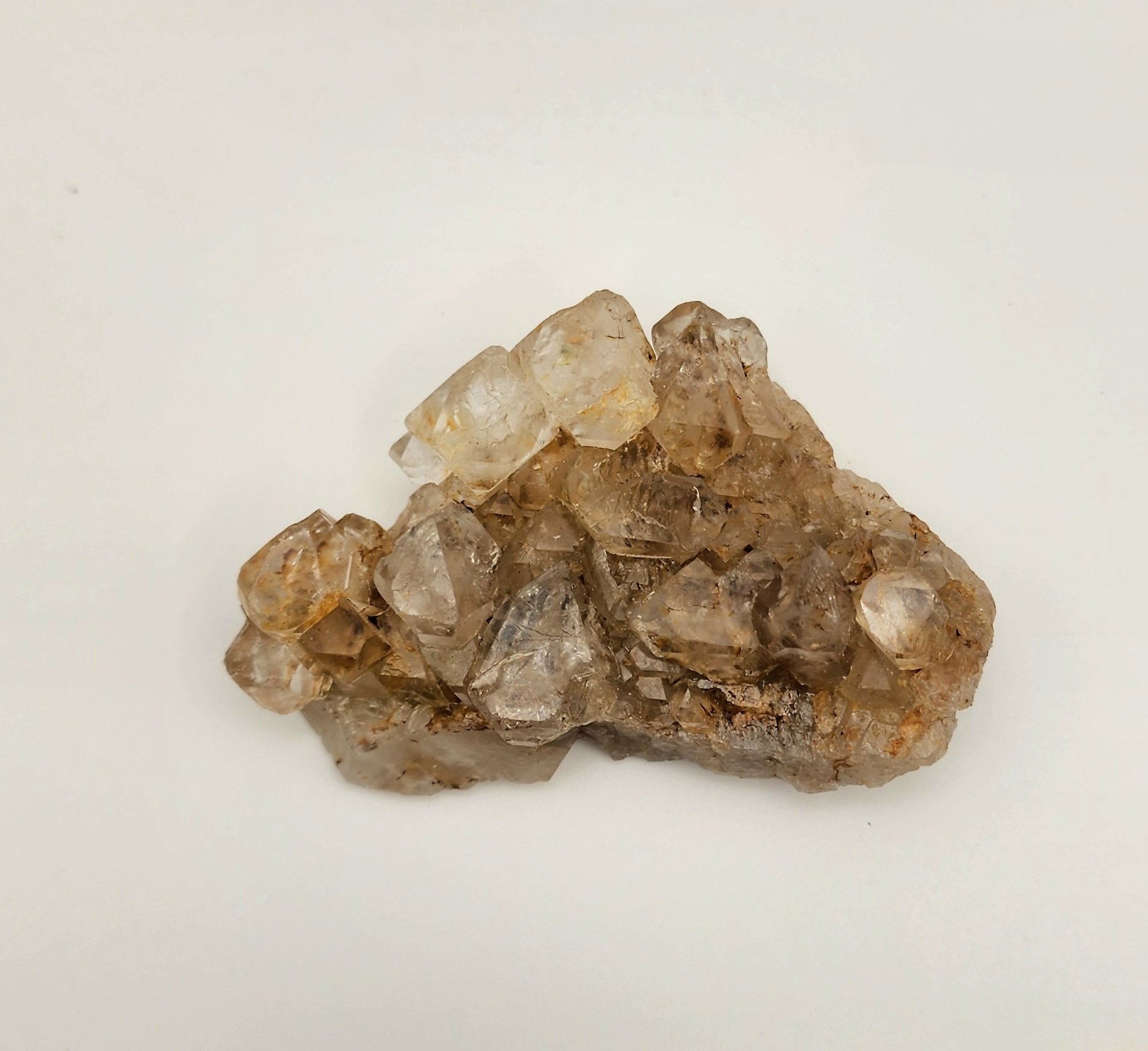 Golden Healer Cluster