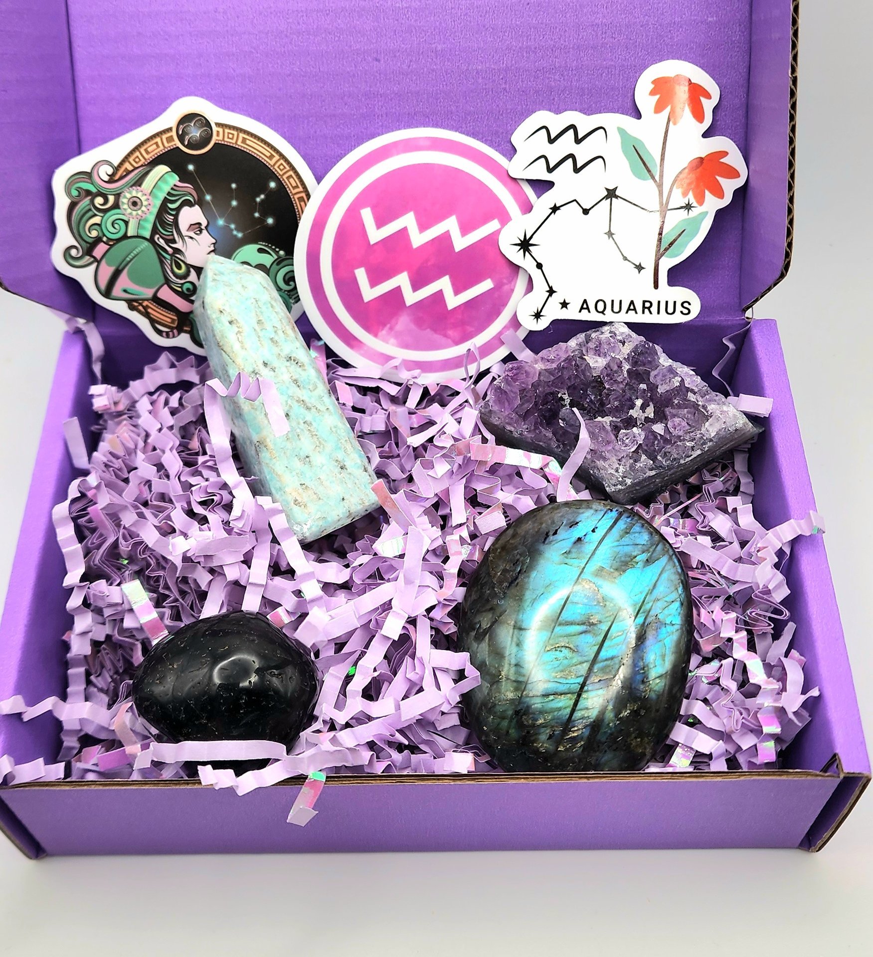 Aquarius Zodiac Bundle 