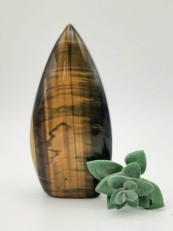 Tiger's Eye Ornament