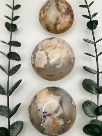 Flower Agate Palm Stones