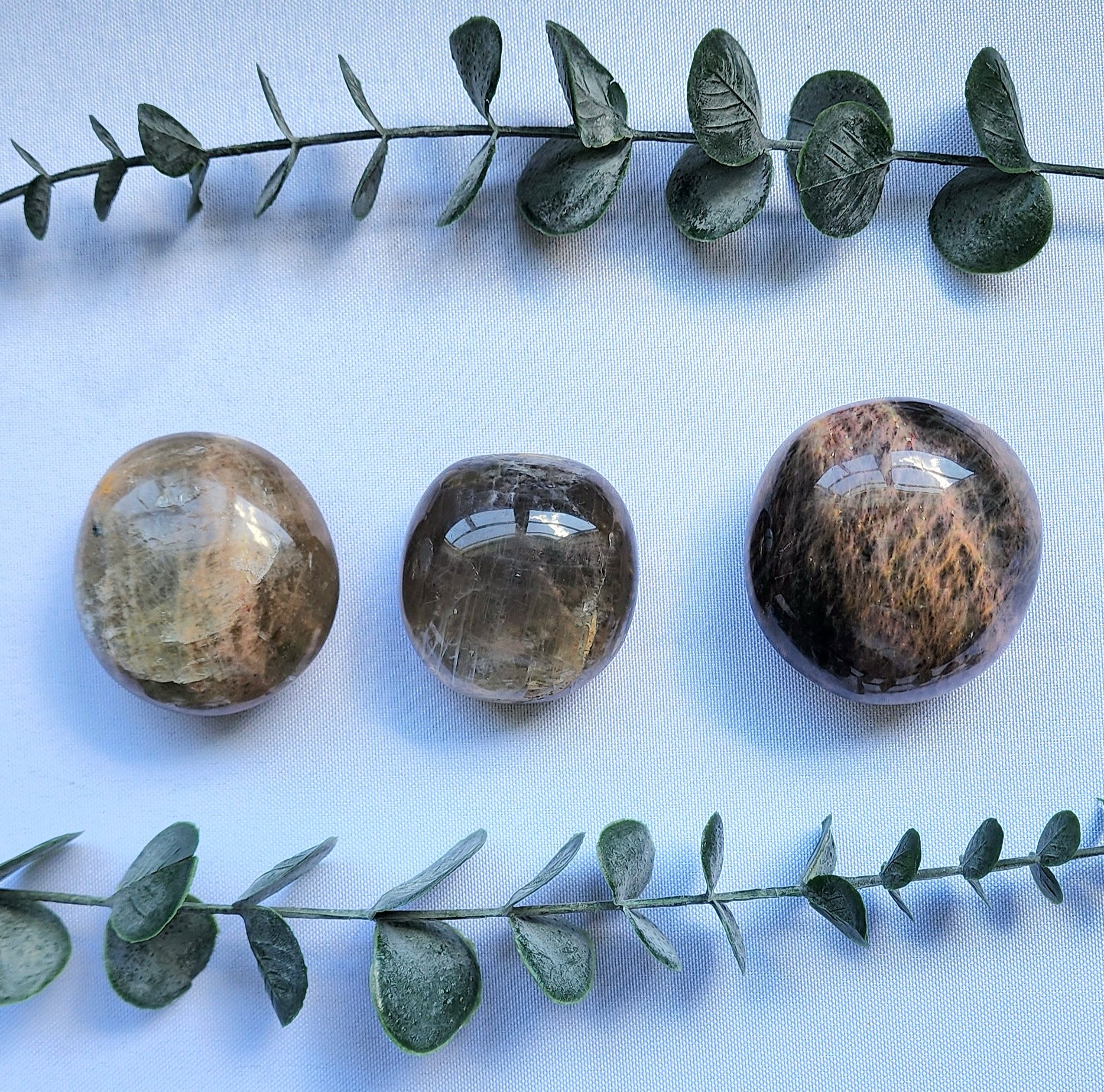Black Moonstone Palm Stone